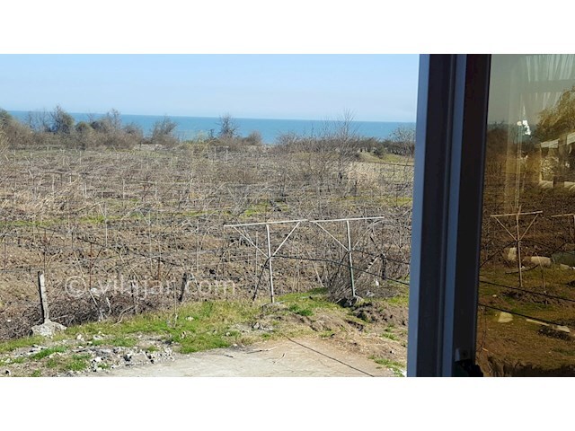 عکس شماره 385745 - اجاره ویلای ساحلی در تالش - 