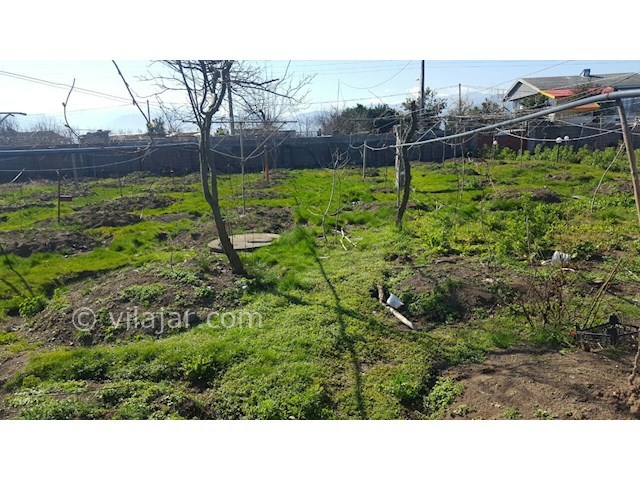 عکس شماره 385771 - اجاره ویلای ساحلی در تالش - 