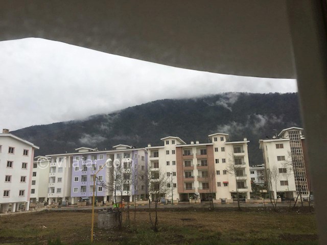 عکس شماره 38619 - اجاره ویلا دوبلکس نمک آبرود - 