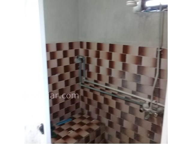 عکس شماره 389601 - اجاره خانه روستایی در تالش - 