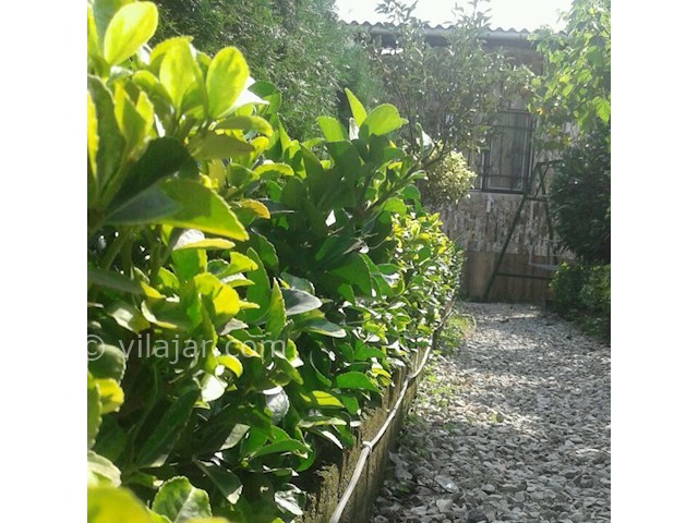 عکس شماره 390597 - اجاره ویلا باغ استخردار چالوس - 