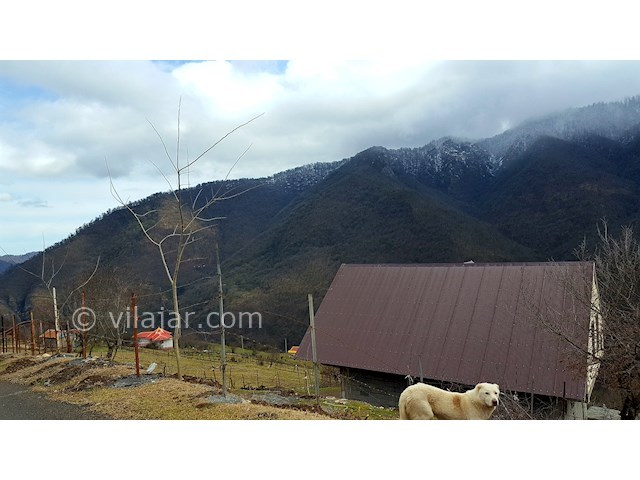 عکس شماره 391019 - ویلای جنگلی کوهستانی تالش - 