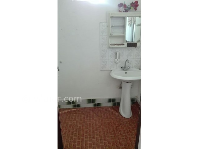 عکس شماره 393359 - ویلا اجاره ای در شیرود - 