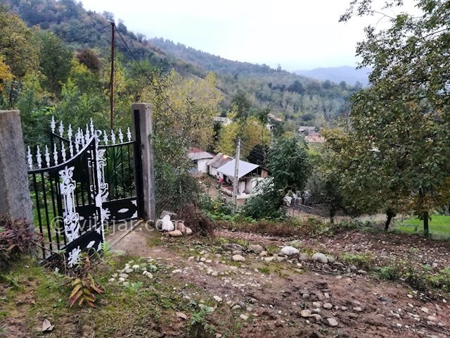 عکس شماره 393519 - ویلا دربست جنگلی در لیسار - 