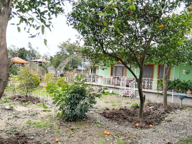 عکس شماره 393561 - اجاره ویلا باغ در لیسار - 