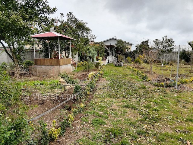 عکس شماره 393565 - اجاره ویلا باغ در لیسار - 