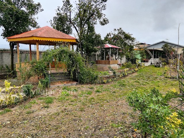 عکس شماره 393567 - اجاره ویلا باغ در لیسار - 