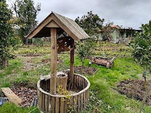 عکس شماره 393571 - اجاره ویلا باغ در لیسار - 