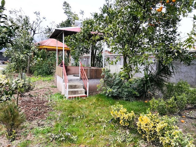 عکس شماره 393573 - اجاره ویلا باغ در لیسار - 