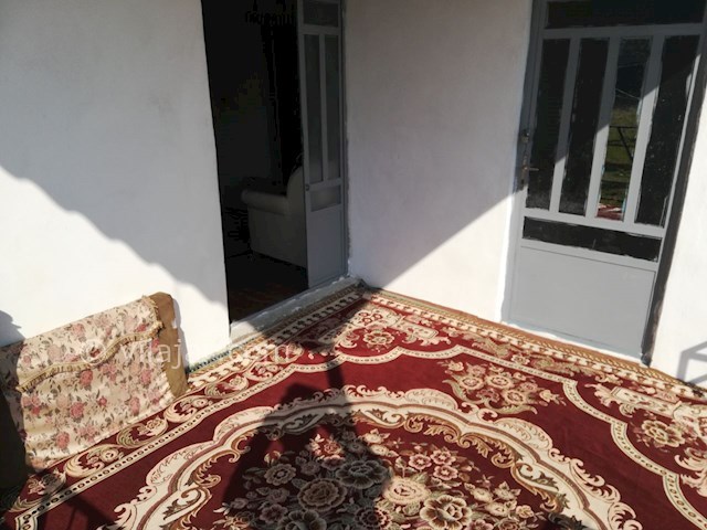 عکس شماره 393825 - اجاره خانه باغ نزدیک ساحل - 