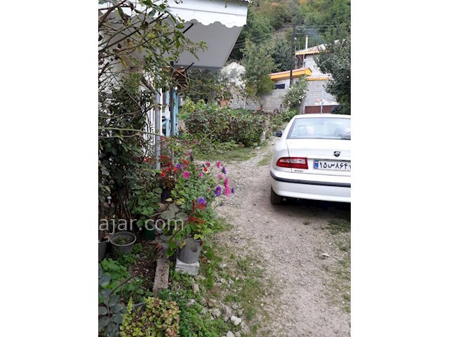 عکس شماره 395945 - اقامت در جنگل دالیخانی رامسر - 