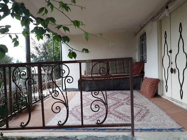 عکس شماره 395947 - اقامت در جنگل دالیخانی رامسر - 