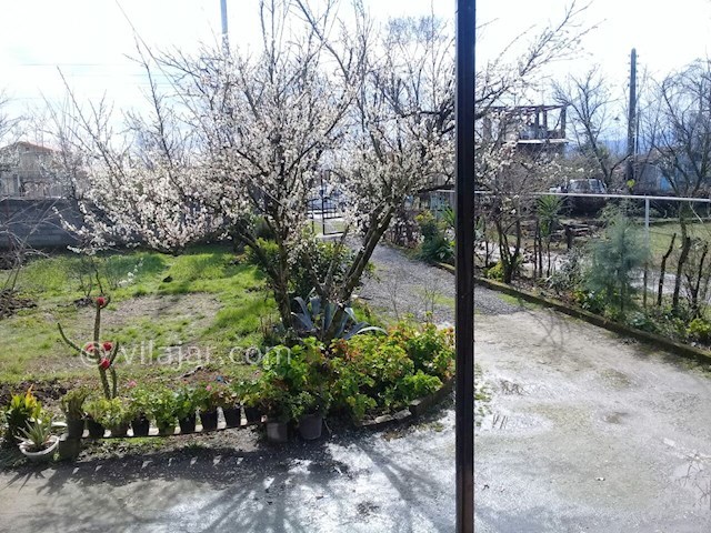 عکس شماره 398387 - اجاره ویلای ساحلی در تالش - 