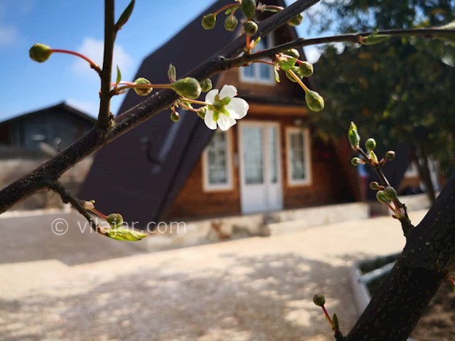 عکس شماره 399253 - اجاره کلبه چوبی در زیباکنار - 