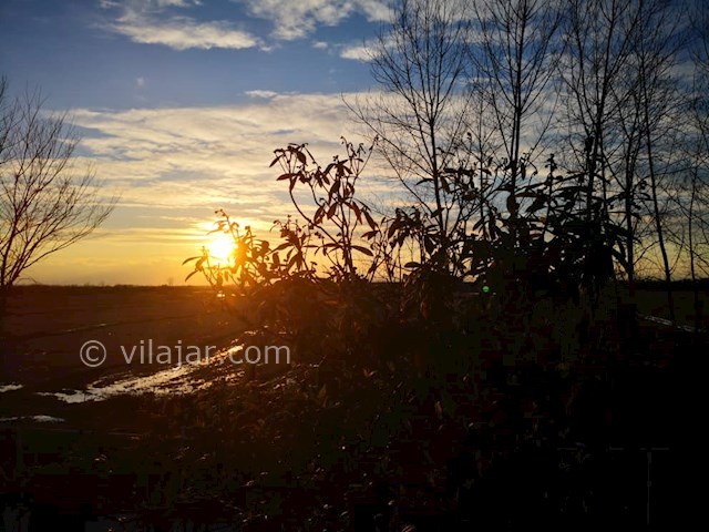 عکس شماره 399271 - اجاره کلبه چوبی در زیباکنار - 