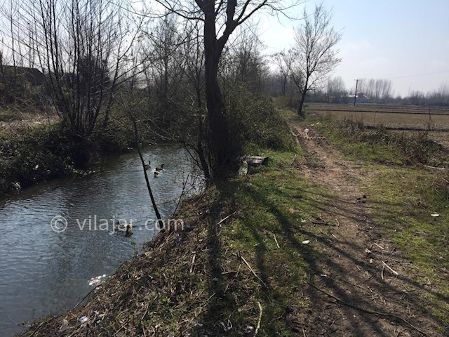 عکس شماره 399273 - اجاره کلبه چوبی در زیباکنار - 