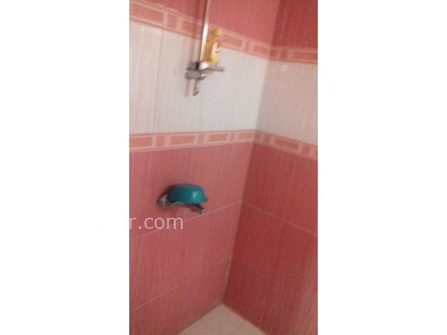 عکس شماره 400567 - اجاره واحد جنگلی در شیرود - 