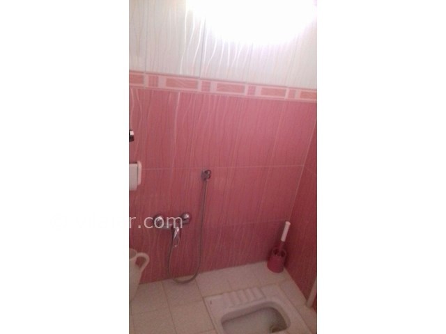 عکس شماره 400569 - اجاره واحد جنگلی در شیرود - 