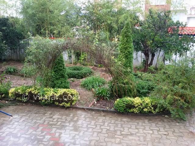 عکس شماره 403977 - اجاره ویلای استخردار رامسر - 