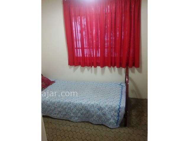 عکس شماره 403979 - اجاره ویلای استخردار رامسر - 