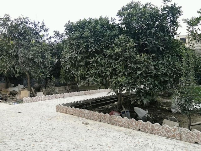 عکس شماره 405257 - اجاره باغ ویلای دربست در تالش - 