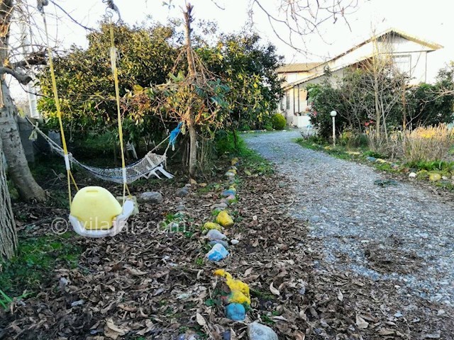 عکس شماره 406155 - اجاره ویلای ساحلی در تالش - 