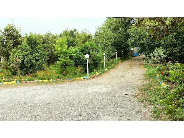 عکس شماره 406161 - اجاره ویلای ساحلی در تالش - 