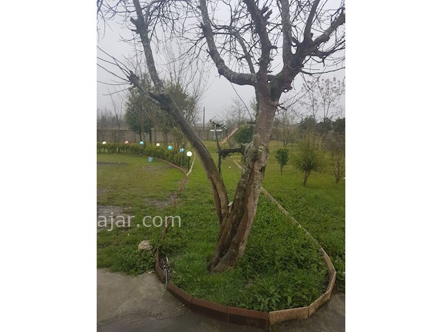 عکس شماره 407657 - اجاره ویلا اطراف ماسال - 