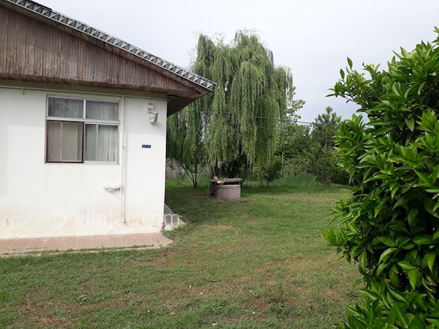 عکس شماره 408333 - ویلا اجاره ای در رضوانشهر -