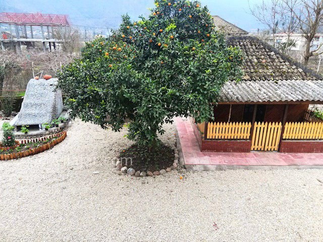 عکس شماره 410763 - اقامتگاه بومگردی پرویزی تالش - 