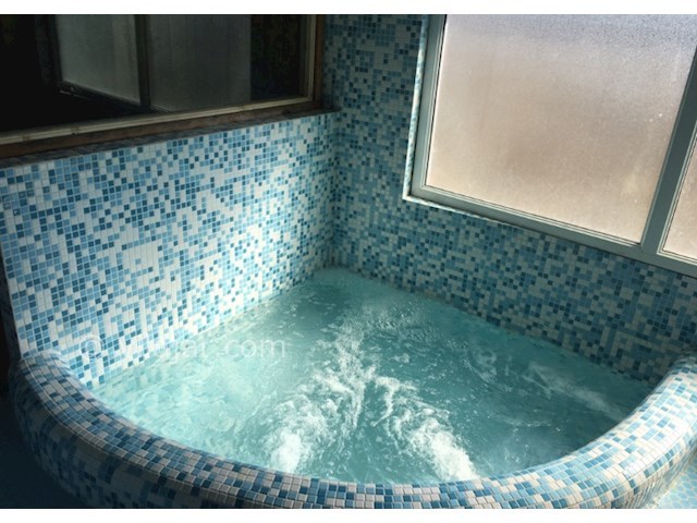 عکس شماره 411451 - اجاره ویلا جکوزی و سونا متل قو - 