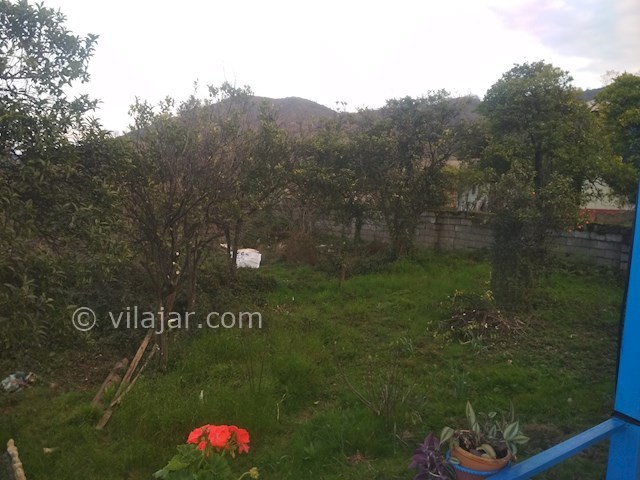 عکس شماره 415133 - اجاره ویلای سنتی جنگلی - 