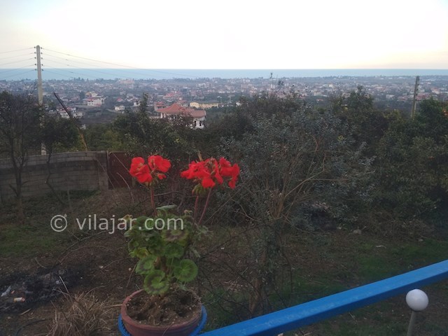 عکس شماره 415135 - اجاره ویلای سنتی جنگلی - 