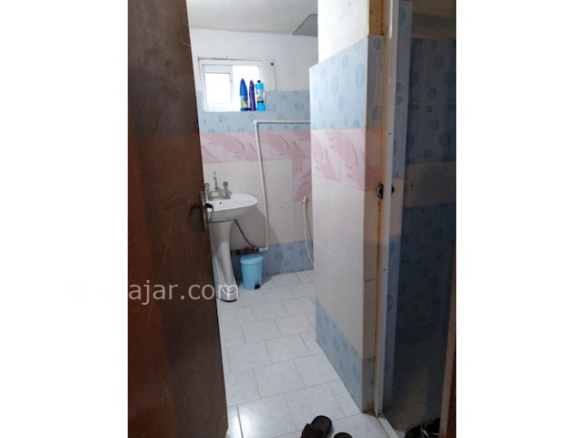 عکس شماره 415149 - اجاره ویلای سنتی جنگلی - 