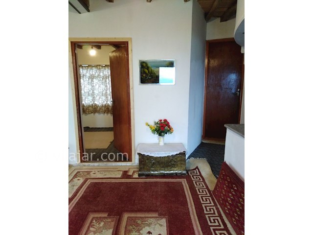 عکس شماره 415153 - اجاره ویلای سنتی جنگلی - 