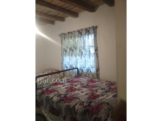 عکس شماره 415157 - اجاره ویلای سنتی جنگلی - 