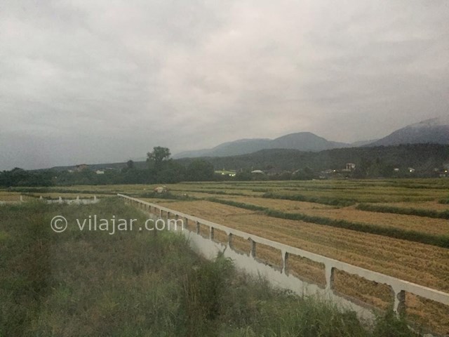 عکس شماره 423543 - ویلا اجاره ای در نوشهر - 