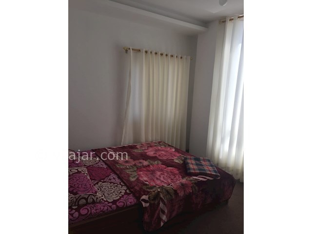 عکس شماره 425773 - اجاره آپارتمانی ساحلی در نور - 