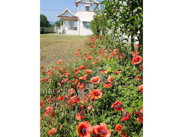 عکس شماره 426803 - اجاره ویلا لب دریا در گیسوم - 