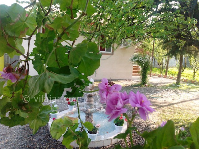 عکس شماره 427001 - اجاره ویلا باغ جنگلی در ماسال - آبنما 