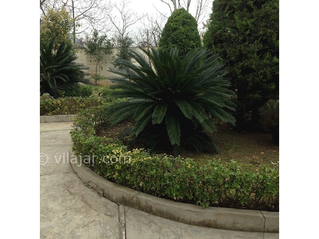 عکس شماره 431091 - اجاره ویلا در رامسر کتالم - 