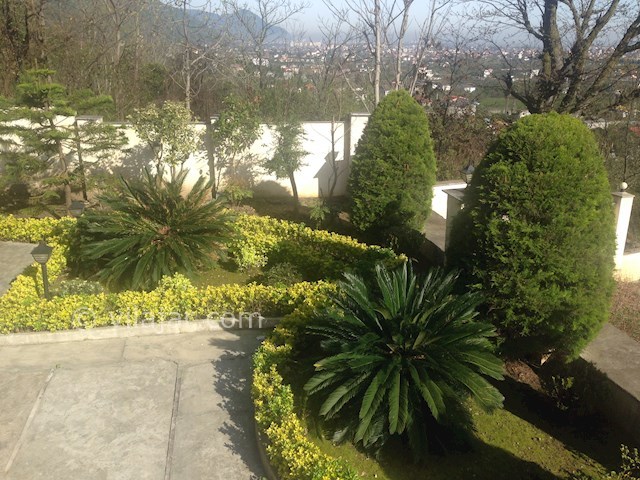 عکس شماره 431095 - اجاره ویلا در رامسر کتالم - 