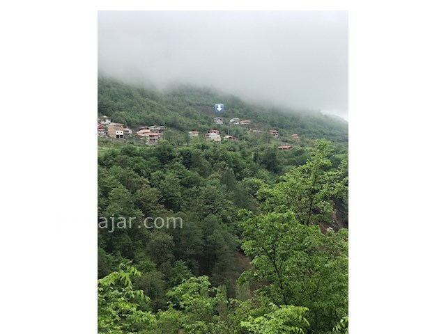 عکس شماره 431853 - اجاره ویلا در علی آباد کتول -