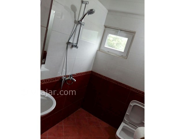 عکس شماره 434093 - اجاره ویلا جنگل 2000 - 