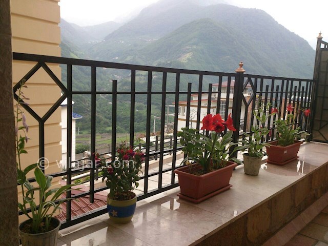 عکس شماره 434121 - اجاره ویلا جنگل 2000 - 