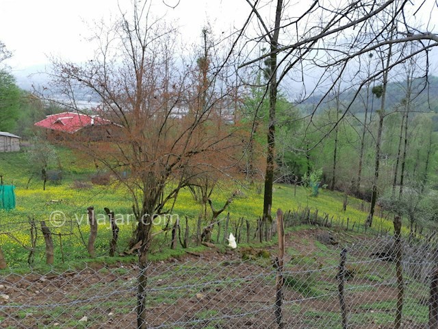 عکس شماره 434847 - اجاره خانه ویلایی جنگلی در ماسال - 