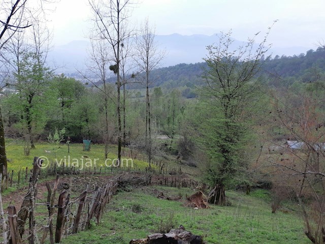 عکس شماره 434849 - اجاره خانه ویلایی جنگلی در ماسال - 