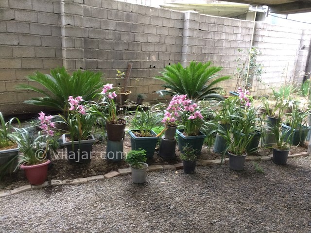 عکس شماره 436257 - اجاره واحد مستقل در رامسر - 