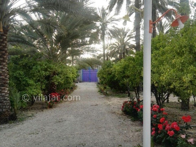 عکس شماره 436749 - اجاره ویلا باغ در جهرم - 