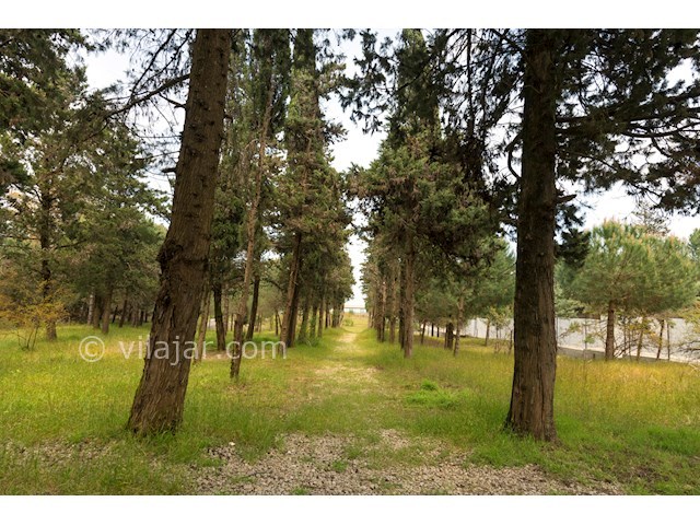 عکس شماره 436881 - اجاره ویلا استخر دار ساحلی رامسر - 